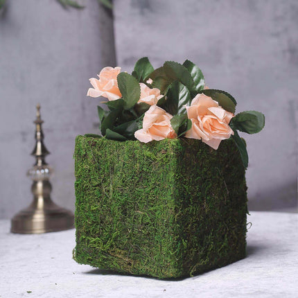 AliKopy 4-Pack 6" Square Planter Boxes with Green Preserved Moss Linin