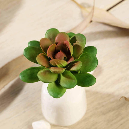 AliKopy 3 Pack 3" Artificial PVC Echeveria Succulent Plants - Realisti