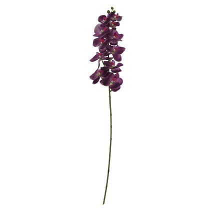 AliKopy 40" Tall Eggplant Silk Orchid Flower Bouquets - 2 Stems, Reali
