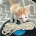 14 Bright Shades of Sisal Rope for Crafting and Kitty Play