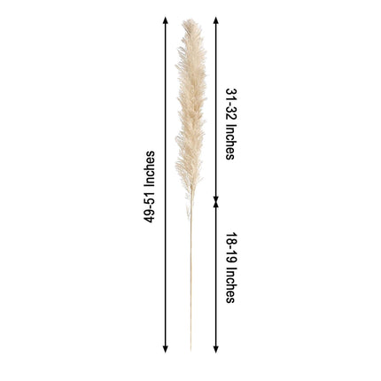 AliKopy 6 Stems Natural Dried Pampas Grass - 49" Tall Boho Decor