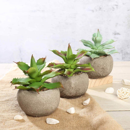 AliKopy 3-Pack Aloe Artificial Succulents in Ceramic Pots - Lifelike D