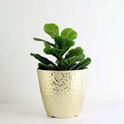 AliKopy 11" Gold Hammered Indoor Plant Pot - Decorative & Durable Plan