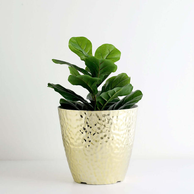 AliKopy 11" Gold Hammered Indoor Plant Pot - Decorative & Durable Plan
