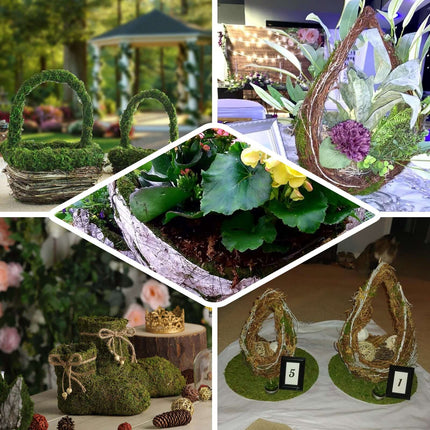 AliKopy Set of 2 Teacup Planters with Preserved Moss - 5" & 4