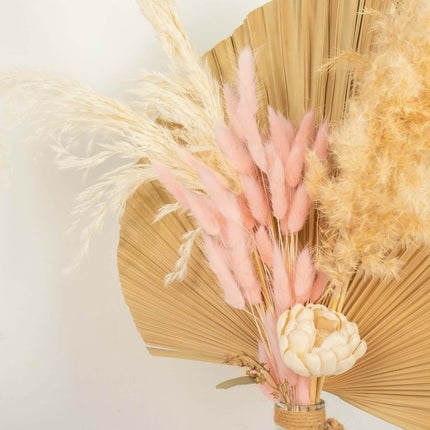AliKopy 50-Pack Dried Bunny Tail Grass - Blush Lagurus Ovatus, 15