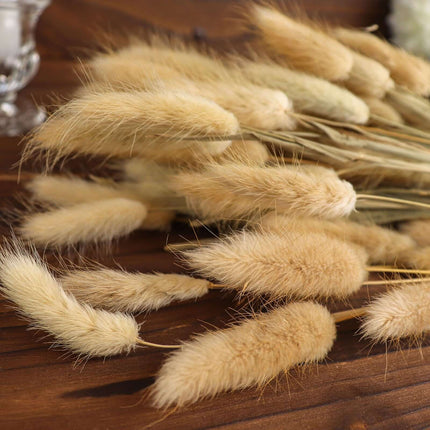 AliKopy 50-Pack Dried Bunny Tail Grass - Rustic 15" Decorative Stems