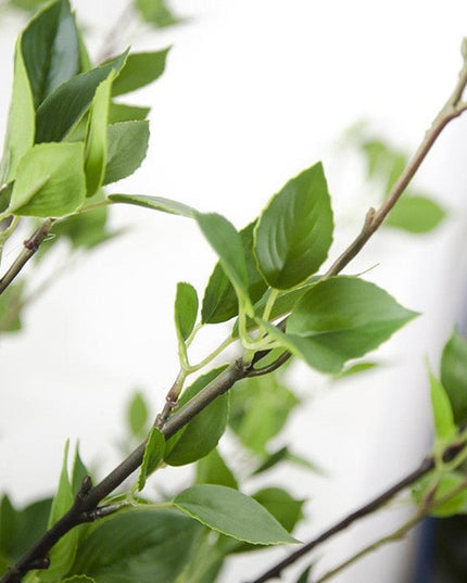 Lifelike Spring Oasis Artificial Greenery Branches - Available in 39.4" and 47.2" Lengths