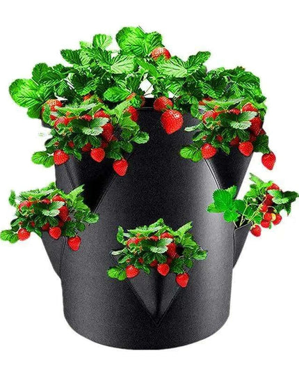 Berry Bliss Gardening Set for Abundant Strawberry Yields