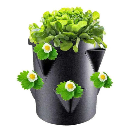 Berry Bliss Gardening Set for Abundant Strawberry Yields