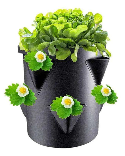 Berry Bliss Gardening Set for Abundant Strawberry Yields