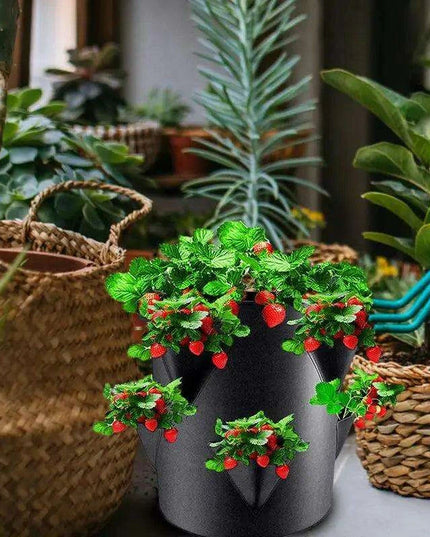 Berry Bliss Gardening Set for Abundant Strawberry Yields