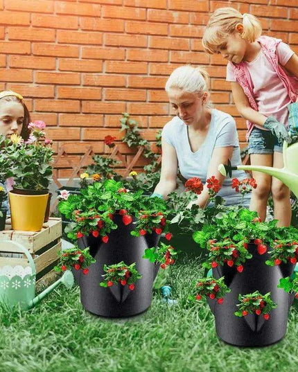 Berry Bliss Gardening Set for Abundant Strawberry Yields