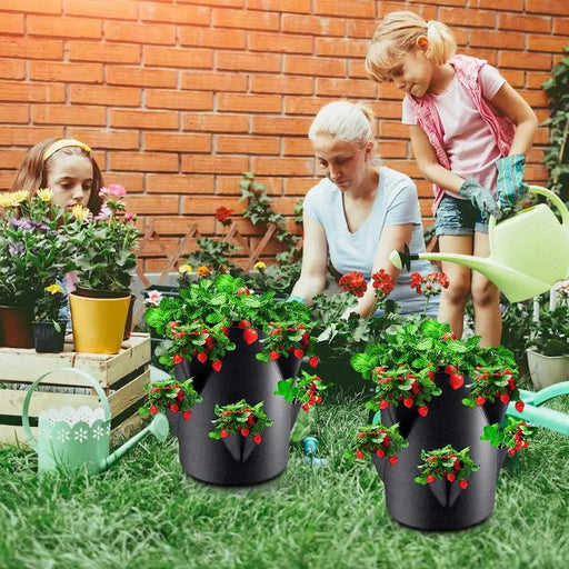 Strawberry Grow Bag Set for Flourishing Home Garden Harvesting