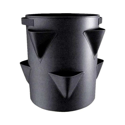 Berry Bliss Gardening Set for Abundant Strawberry Yields