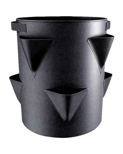 Berry Bliss Gardening Set for Abundant Strawberry Yields