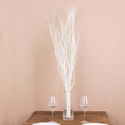 AliKopy 6-Pack 46" Natural Birch Branches - Decorative Twigs for Cente