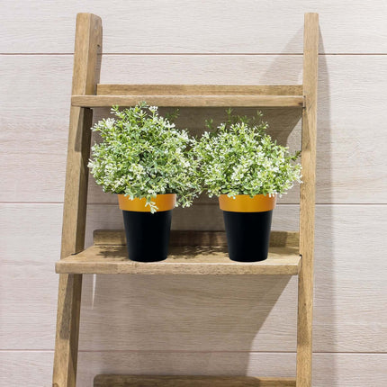 AliKopy 2-Pack Medium Black Flower Pots with Gold Rim - 6" Indoor Plan