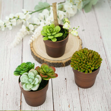 AliKopy 3-Pack Rustic Brown Small Flower Plant Pots - Durable Plastic,