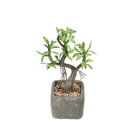 AliKopy Willow Tree Faux Succulents in Concrete Pot - 9" Lifelike Deco