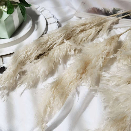 AliKopy 6 Stems Dried Pampas Grass - Off White, 32" for Boho Decor
