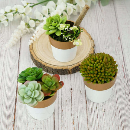 AliKopy 3-Pack Small White Flower Pots with Gold Rim - Decorative 3" P