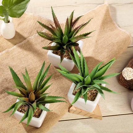 AliKopy 3-Pack Lifelike Aloe Vera Faux Succulents in Ceramic Pots