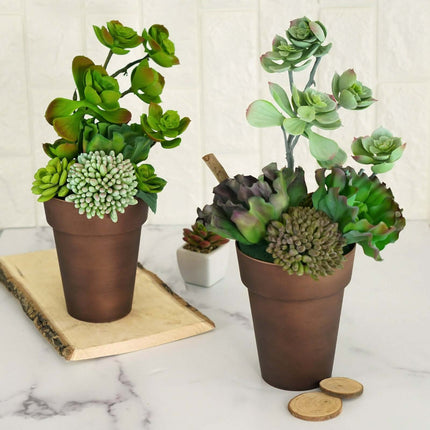 AliKopy 2-Pack Rustic Brown Flower Pots - 6" Plastic Indoor Planters