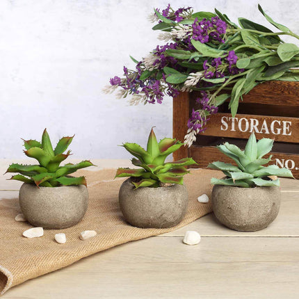 AliKopy 3-Pack Aloe Artificial Succulents in Ceramic Pots - Lifelike D