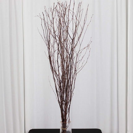 AliKopy 6-Pack 46" Natural Birch Branches - Versatile Decorative Stick