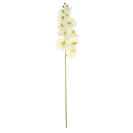 AliKopy 40" Tall Cream Artificial Silk Orchid Flower Bouquets - 2 Stem