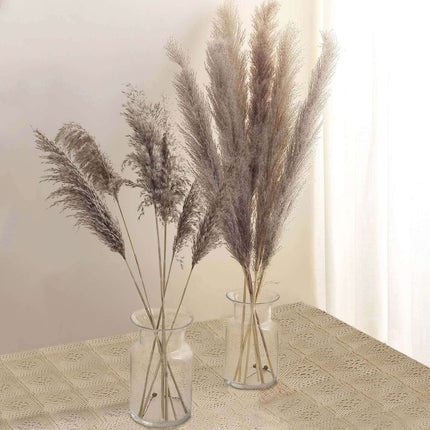 AliKopy 6 Stems Natural Dried Pampas Grass - 32" Boho Chic Decor