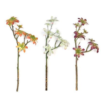 AliKopy 3 Pack 18" Assorted Artificial Aeonium Succulent Plants - Real
