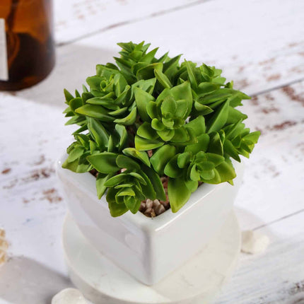 AliKopy 3-Pack Echeveria Artificial Succulents - Lifelike Faux Plants