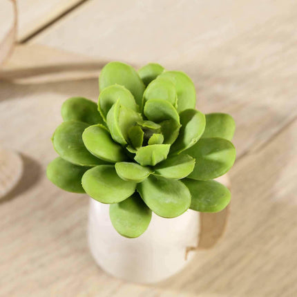 AliKopy 3 Pack 3" Artificial PVC Echeveria Succulent Plants - Realisti