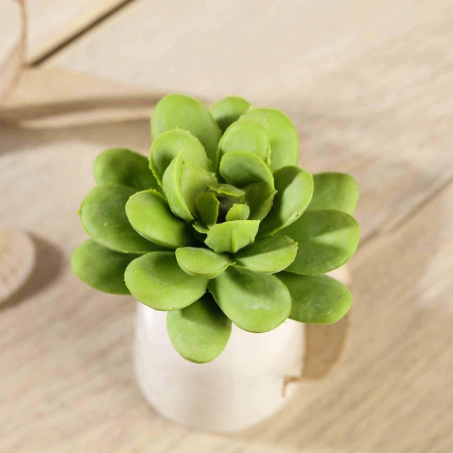 AliKopy 3 Pack 3" Artificial PVC Echeveria Succulent Plants - Realisti