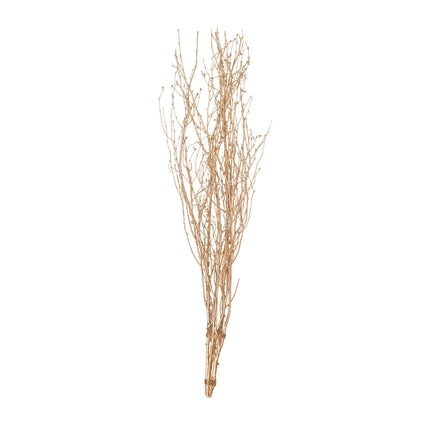 AliKopy 6-Pack 46" Metallic Gold Birch Branches - Decorative Twigs for