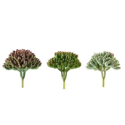 AliKopy 3 Pack Mini 4" PVC Jelly Bean Succulent Plants, Realistic Deco