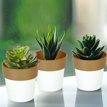 AliKopy 3-Pack Small White Flower Pots with Gold Rim - Decorative 3" P