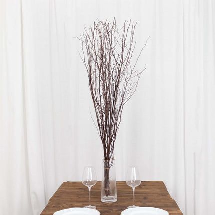 AliKopy 6-Pack 46" Natural Birch Branches - Versatile Decorative Stick