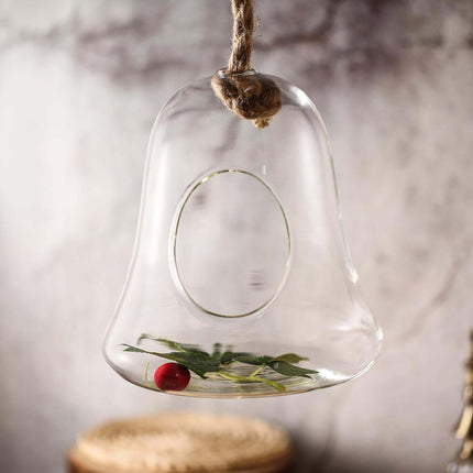 AliKopy Glass Terrarium - 9" Hanging Bell Design for Air Plants