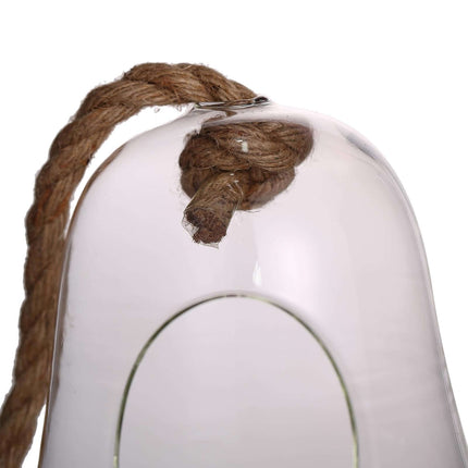 AliKopy Glass Terrarium - 9" Hanging Bell Design for Air Plants