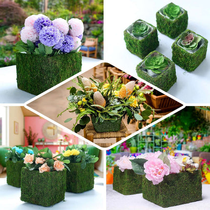 AliKopy 4-Pack 6" Square Planter Boxes with Green Preserved Moss Linin