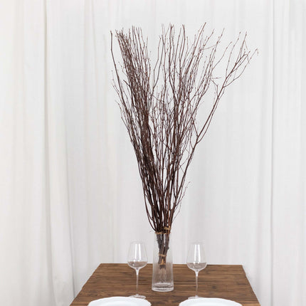 AliKopy 6-Pack 46" Natural Birch Branches - Versatile Decorative Stick