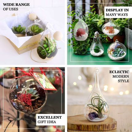 AliKopy Glass Terrarium - 9" Hanging Bell Design for Air Plants
