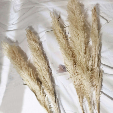 AliKopy 6 Stems Natural Dried Pampas Grass - 49" Tall Boho Decor