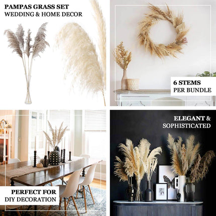 AliKopy 6 Stems Dried Pampas Grass - Off White, 32" for Boho Decor