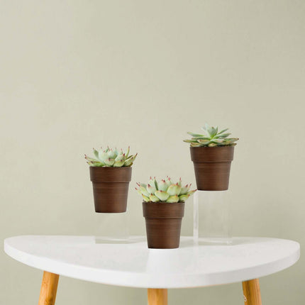 AliKopy 3-Pack Rustic Brown Small Flower Plant Pots - Durable Plastic,