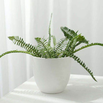 AliKopy 2-Pack 5.5" White Planter Pots with Macrame Holders