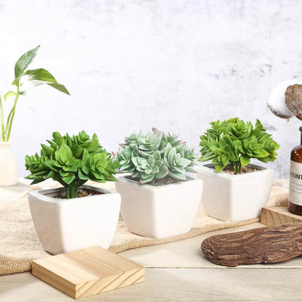 AliKopy 3-Pack Echeveria Artificial Succulents - Lifelike Faux Plants